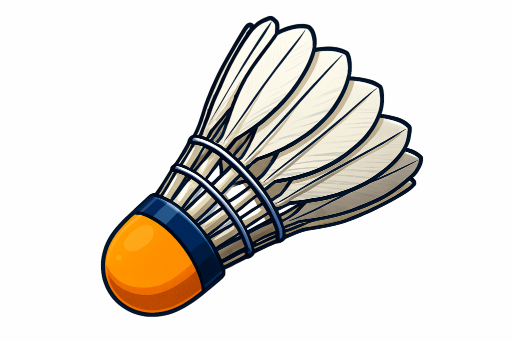 Caractéristiques générales volant badminton